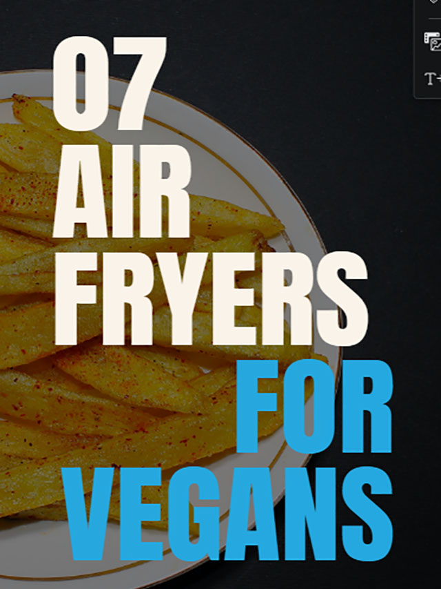 Best Air Fryer For Vegans